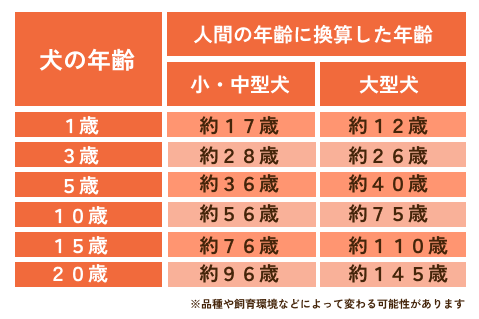表